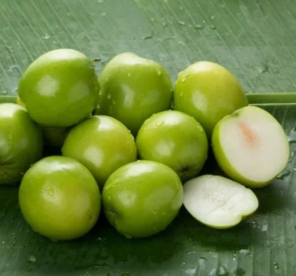 Green Putsa Apple Seeds 120+ pcs (Ziziphus mauritiana) – Premium Certified Indian Jujube Sweet Fruit Tree Plant Seeds for Planting