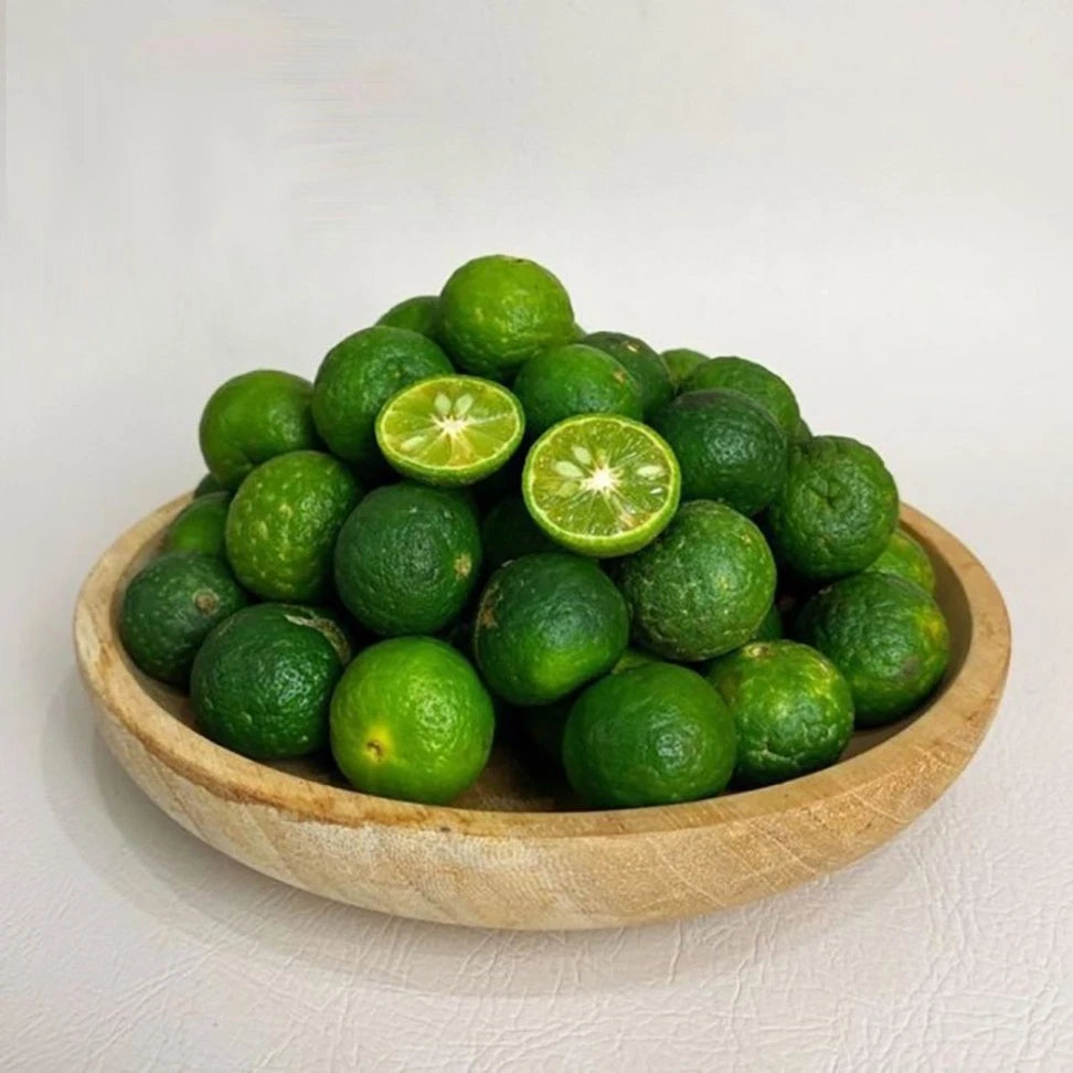 Limau Seeds (Citrus amblycarpa) – Premium Certified High-Yield Java Lime Citrus Fruit Tree Plant Seeds for Planting (100 Pcs)
