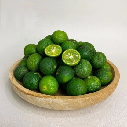 Limau Seeds (Citrus amblycarpa) – Premium Certified High-Yield Java Lime Citrus Fruit Tree Plant Seeds for Planting (100 Pcs)