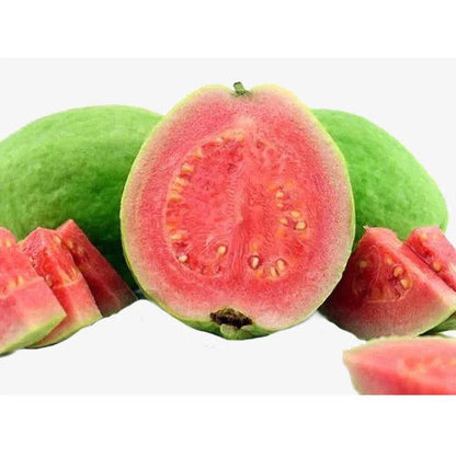 250+ Red Titi Guava Seeds (Psidium guajava Pink Fleshed / Sweet Tropical Guava) – Premium Exotic Fruit Tree & Orchard Seeds for Planting