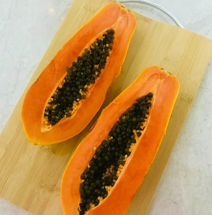Red Thailand Papaya Seeds (Carica papaya) – 150 Premium Red Papaya Seeds