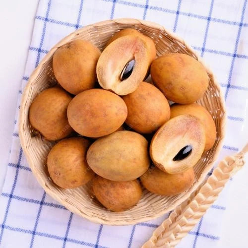 35+ Fresh Sweet Honey Sapodilla Seeds (Manilkara zapota var. Sweet Honey Sapodilla) – Premium Exceptionally Sweet Tropical Fruit Tree Seeds for Planting