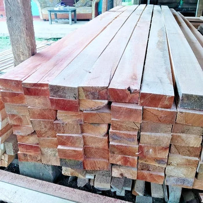 100+ Red Sengon Smithiana Seeds (Albizia chinensis var. smithiana) – Fast-Growing Strong Timber & Reforestration Tree Seeds