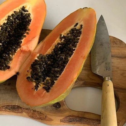 Red Paris Papaya Seeds (Carica papaya) – 150 Premium High-Yielding Elongated Sweet Red Papaya Seeds