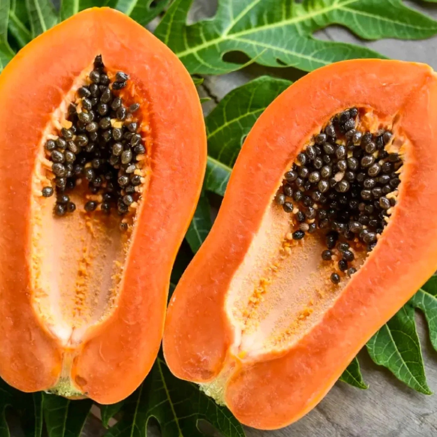 Bangkok Papaya Seeds (Carica papaya var. Bangkok) – Premium Sweet Red-Fleshed Pawpaw Fruit Seeds for Planting (150 Pcs)