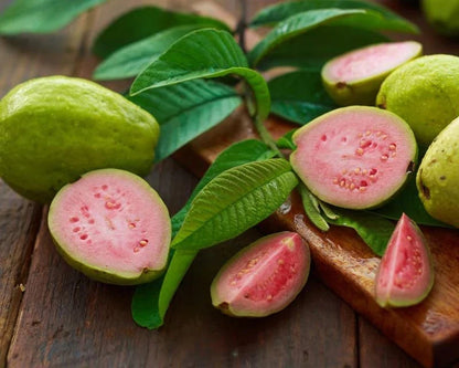 Red Guava Seeds 250+ pcs (Psidium guajava 'Red Super') – Premium Certified Red Super Guava Fruit Tree Plant Seeds for Planting
