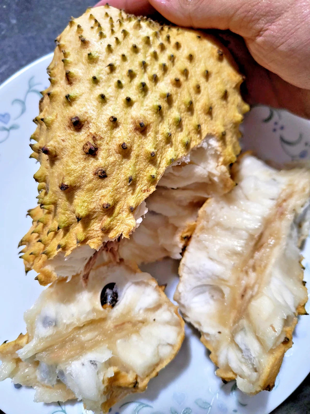 Golden Soursop Seeds (Annona muricata / 100+ Premium Rare Yellow-Skin Graviola Guanabana Fruit Seeds) – Premium Exotic Botanical Specimen Plant Seeds for Planting