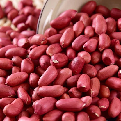 Red Peanut Seeds (Arachis hypogaea) – 1.000+ Premium Heirloom Red Valencia Groundnut Seeds for Planting