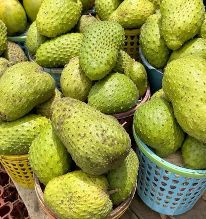 Nigerian Soursop Seeds (Annona muricata) for Planting