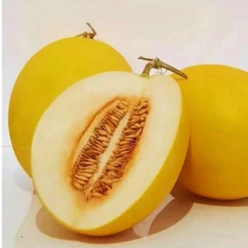 Melon Seeds 15+ pcs Bundle (Cucumis melo) – 5-Cultivar Garden Package Premium Certified Sweet Fruit Plant Seeds for Planting