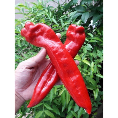 Superior Chili Seeds 25+ pcs Bundle (Capsicum spp.) – 5-Cultivar Garden Package Premium Certified Hot Pepper Plant Seeds for Planting