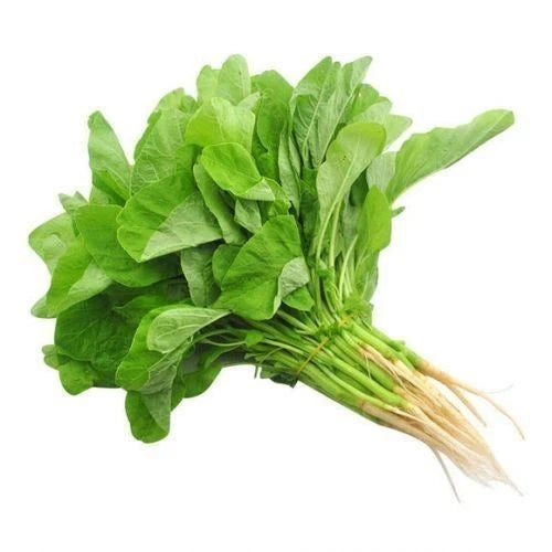 Spinach Seeds 1,750+ pcs Bundle (Amaranthus spp.) – 5-Cultivar Garden Package Premium Certified Nutritious Leafy Green Plant Seeds for Planting