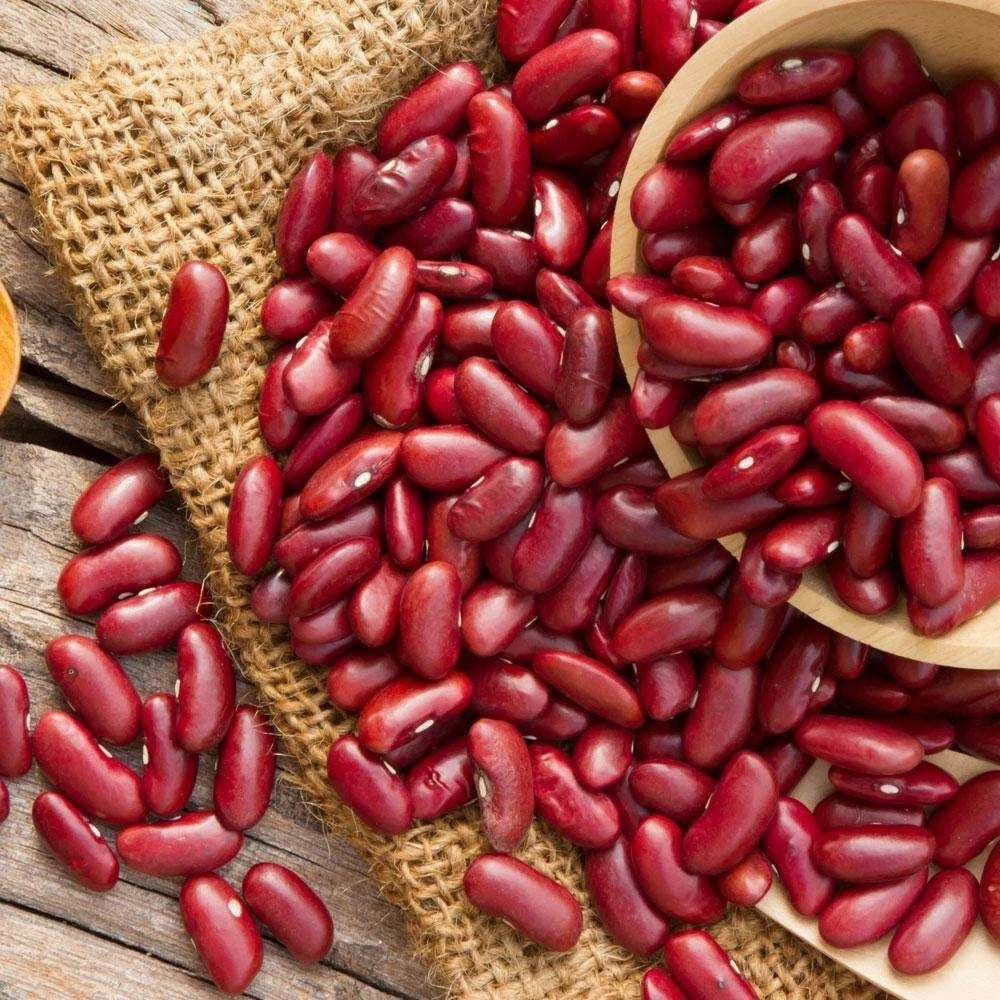 125+ Bean Seeds – Bundling 5 Cultivar Garden Package Certified Heirloom Vegetable Seeds for Planting
