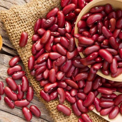 125+ Bean Seeds – Bundling 5 Cultivar Garden Package Certified Heirloom Vegetable Seeds for Planting