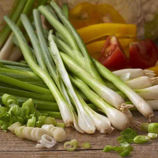 Onion White Lisbon Bunching Vegetable 250 mg Seeds For Planting