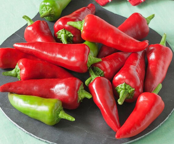 Fresno Chile Hot Pepper 250 mg Seeds For Planting