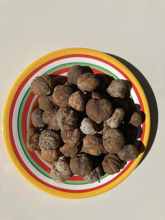Candlenut Kukui Raw Nuts - Natural Hawaiian Kukui (Aleurites Moluccana) for Skin Care, Healing & Traditional Uses