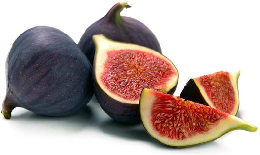 Black Mission Fig Tree - 2-5 Inch Live Plant - Ficus Carica - Sweet Black Fruit - Self-Fertile Container Fruit Tree