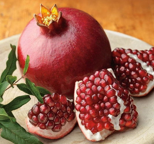 Wonderful Pomegranate Live Starter Plant 6-12 Inches Non-GMO Pomegranate Granatum Drought Tolerant Sweet Fruit Tree