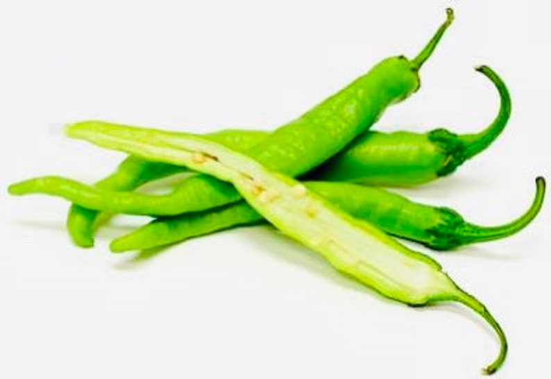 Fushimi Sweet Pepper Seeds (10) - Capsicum Annuum - Mild Flavor, Green to Red Color - Ideal for Cooking and Frying