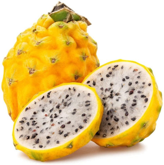 Yellow Dragon Fruit Plant Starter 6-8 Inches - Selenicereus Megalanthus - Live Dragonfruit Cactus for Home Garden