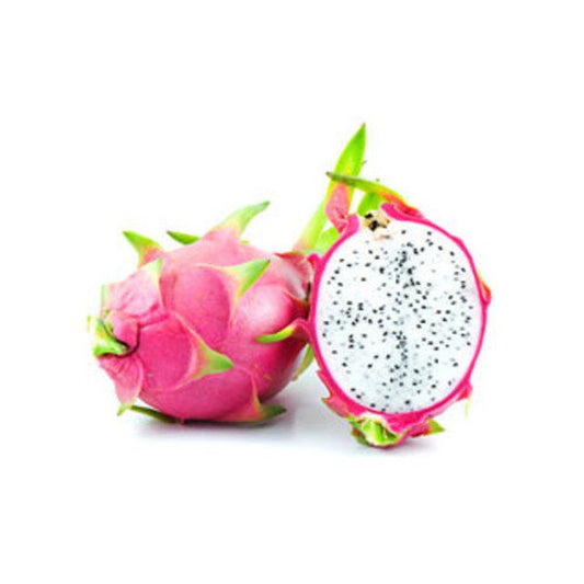 Vietnamese White Flesh Dragon Fruit Plant in Pot - Hylocereus undatus - Freshly Shipped with Soil, Weekly Delivery