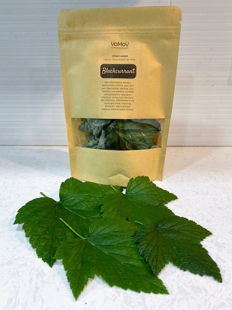 Organic Dried Blackcurrant Leaves Cut - 100% Premium, Home-grown, No GMO, No Pesticides, Ideal for Tea, Marinades, Sauces