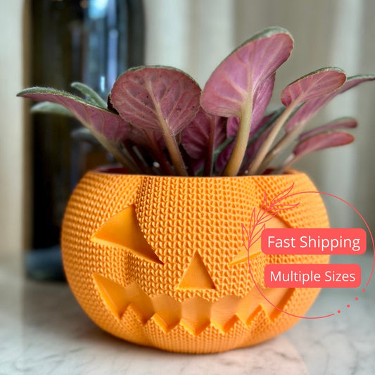 3D Printed Pumpkin Planter with Drainage Hole | 4" Plant Pot for Houseplants & Succulents | Unique Flower Pot