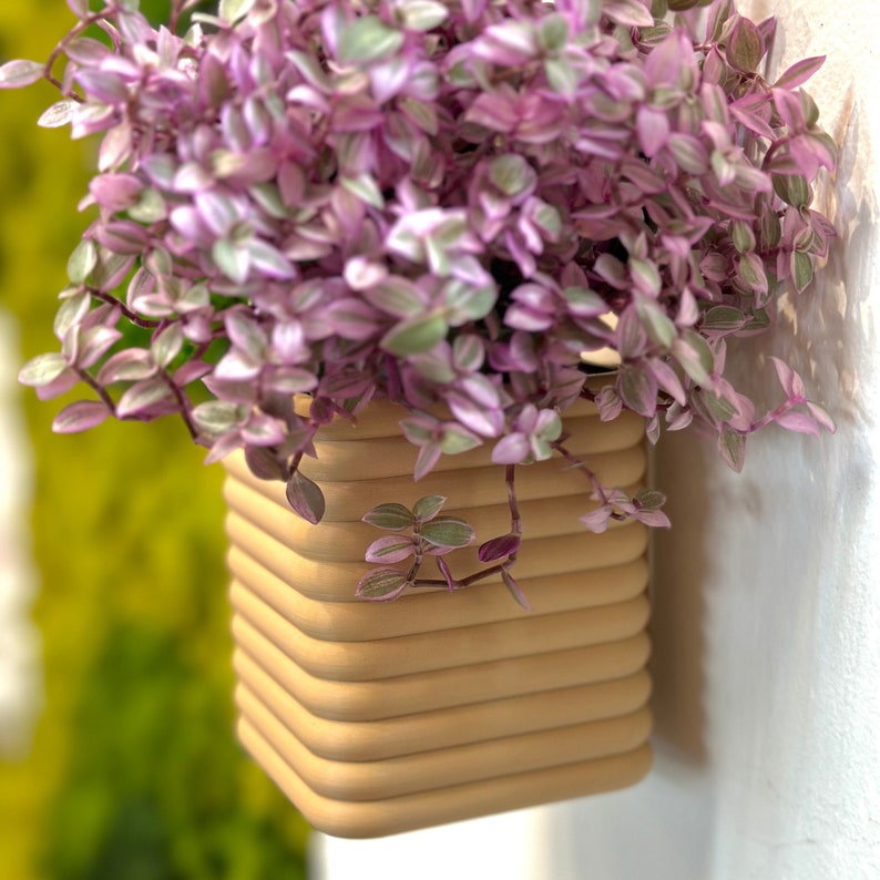 Cubed Hanging Planter Pots 2.5" | Indoor Wall Planters with Drainage | Studded Design | Unique Home Decor and Gifts