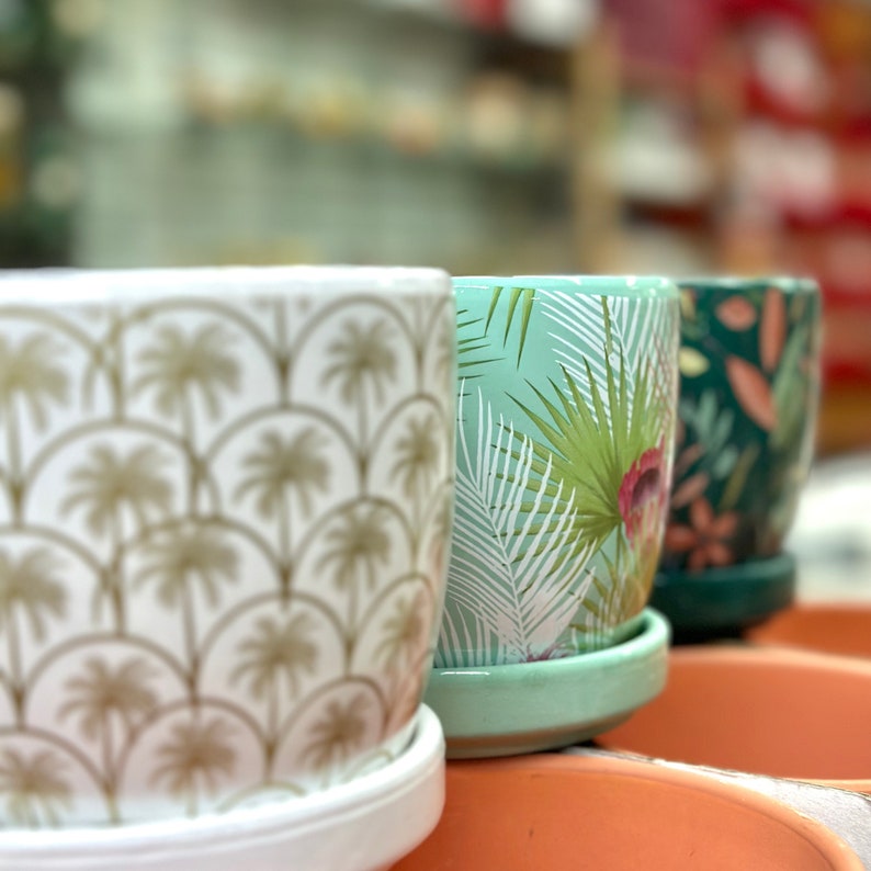Tropical Planter Pots Set of 3 | 4.5" Glazed Ceramic Indoor Pots with Drainage and Saucer | Perfect for Houseplants