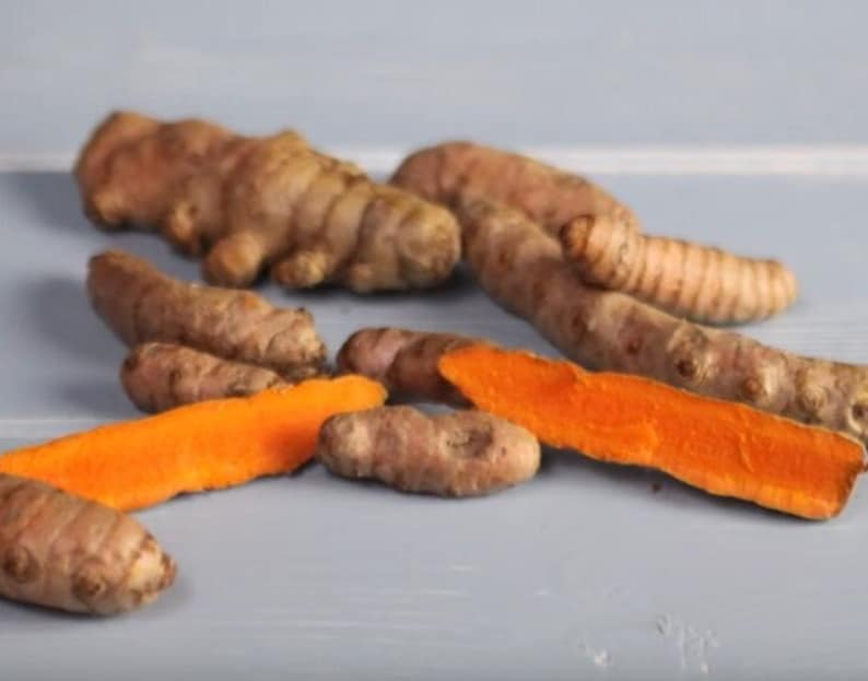 Yellow Turmeric Live Starter Plant 4-6 inches Curcuma longa Pesticide-Free Non-GMO Spice and Herb for Cooking