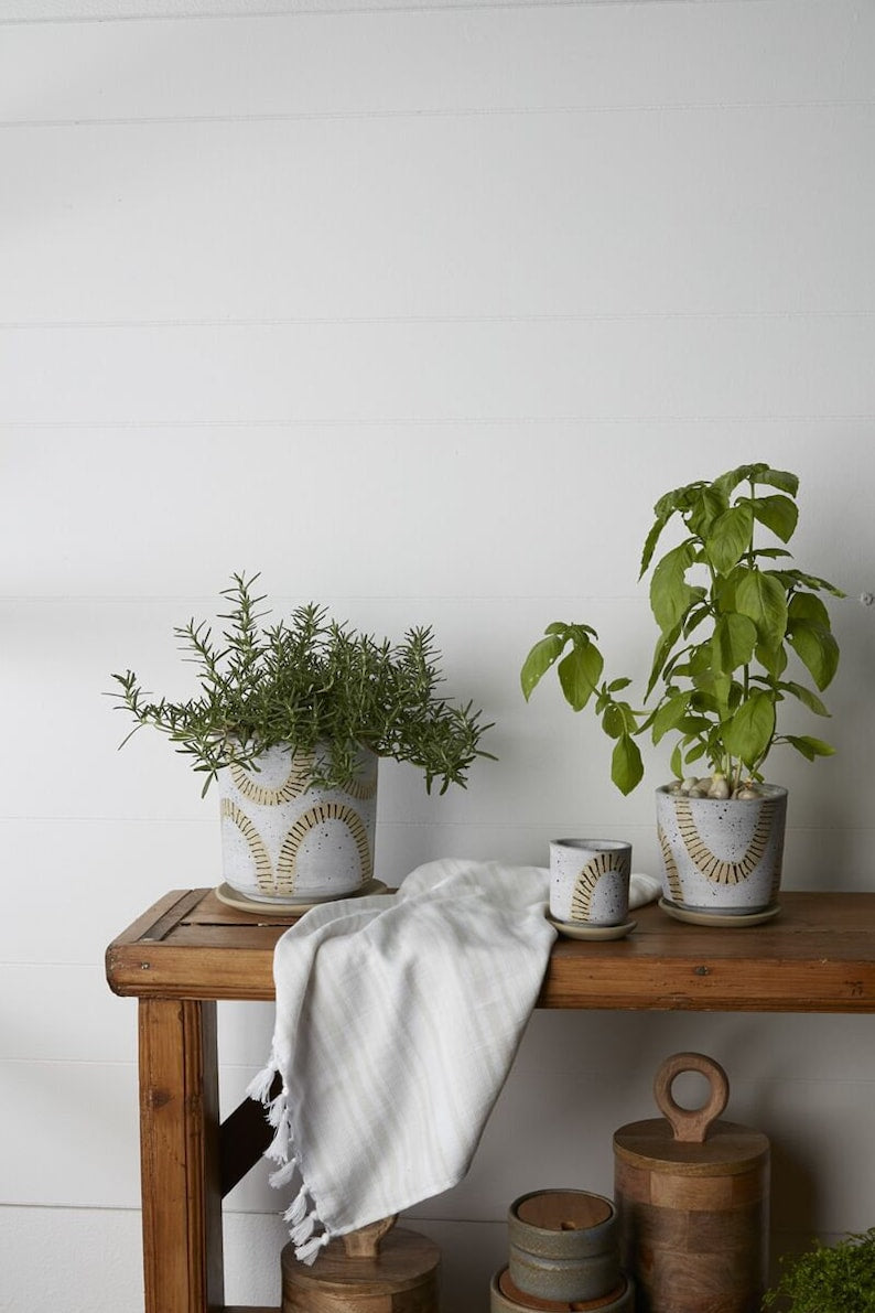 Papyrus Planter with Saucer - 4.5" Ceramic Pot - Natural Stone Design - Arch Abstract Pattern - Pottery Planter