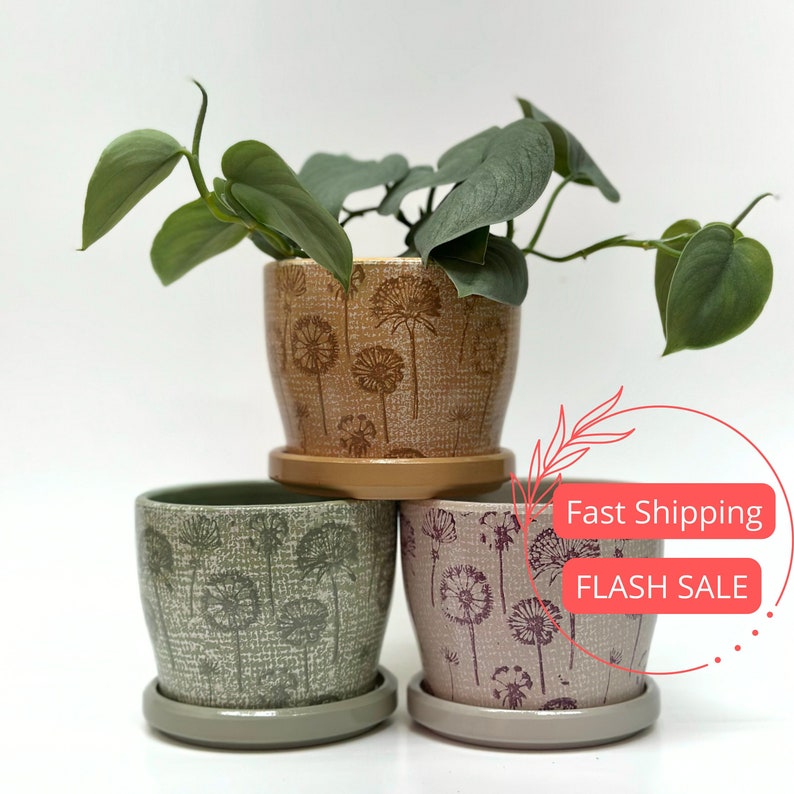 Dandelion Planter Pots Set of 3 | Glazed Ceramic Indoor Planters with Drainage | 3.5" Floral Pots for Houseplants