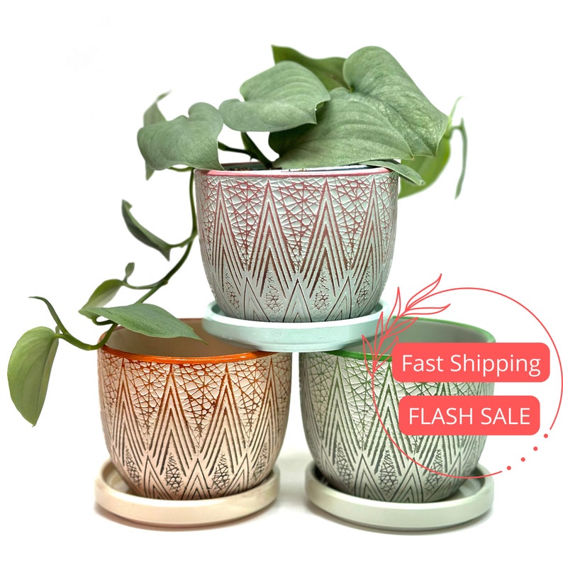 Glazed Planter Pots Set of 3 | Indoor Ceramic Planters with Drainage | Colorful Succulent Pots - 3.5" Diameter