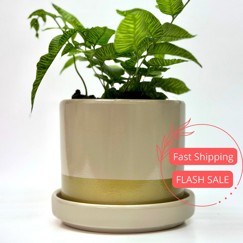 Top Hat Planter Pots Set of 4 | Glazed Ceramic Planters with Drainage | 4.5" Indoor Pots for Plants & Succulents