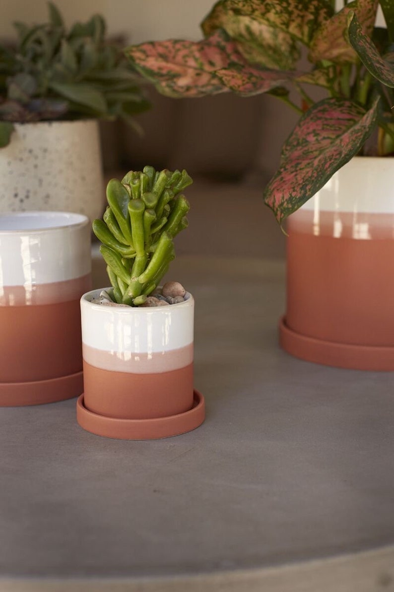 Charlotte Pot 3” Two Tone Saucer Planter - Ceramic Terra Cotta & Cream - Decorative Plant Pot for Indoor Gardening