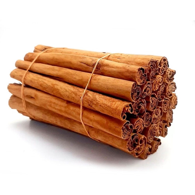 Cinnamon Tree 2ft Air Layered in 3 Gallon Pot - Cinnamomum verum - No Shipping, California Only