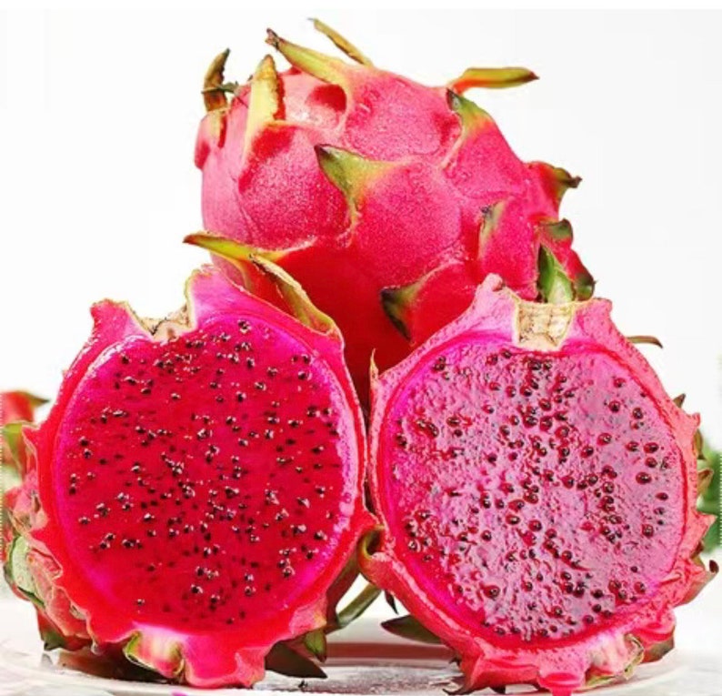 Dragon Fruit Cuttings - 3 Organic Branches - White & Dark Red Flesh - Hylocereus undatus & Hylocereus costaricensis