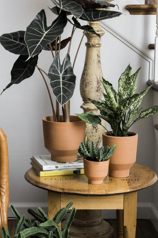 Terracotta Planter 3.5" Minimalist Moab Design - Porous Pot for Plants - Ideal for Prayer Plants (No Drainage)