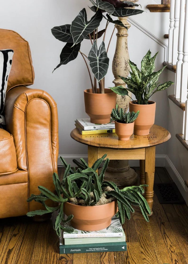 Terracotta Planter 5" Moab Pot Minimalist Decor Swirly Finish - Ideal for Lemon Cherry Lime Prayer Plants