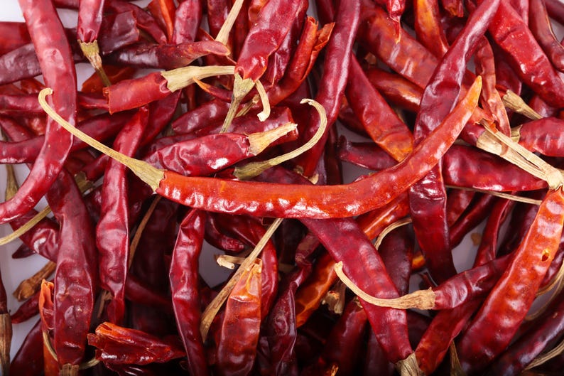 Chili Seeds - 10 Organic De Arbol, Bird's Beak, Rat's Tail - Capsicum annuum 'De Árbol' - Hot Pepper Variety for Gardening