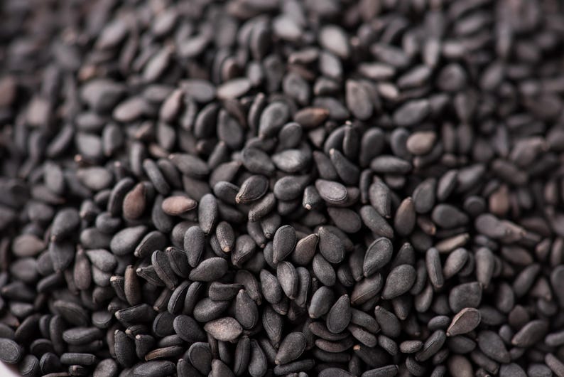 Black Sesame Seeds - Organic Hand Collected 20 Seeds - Sesamum indicum - Nutrient-Rich Vegetable Garden Herb Seeds