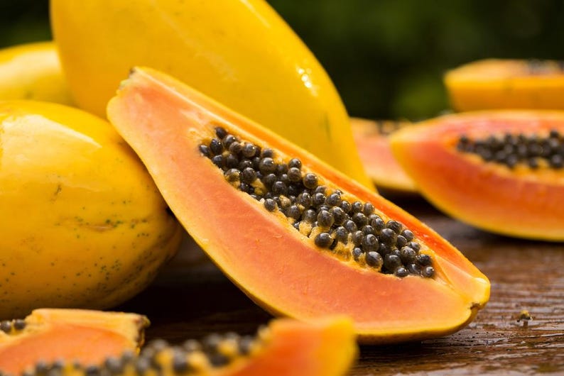 Mexican Papaya Seeds - 10 Hand Collected Fruit Seeds, Carica papaya, Papaw, Paw Paw, Tree Melon, Tropical Plant