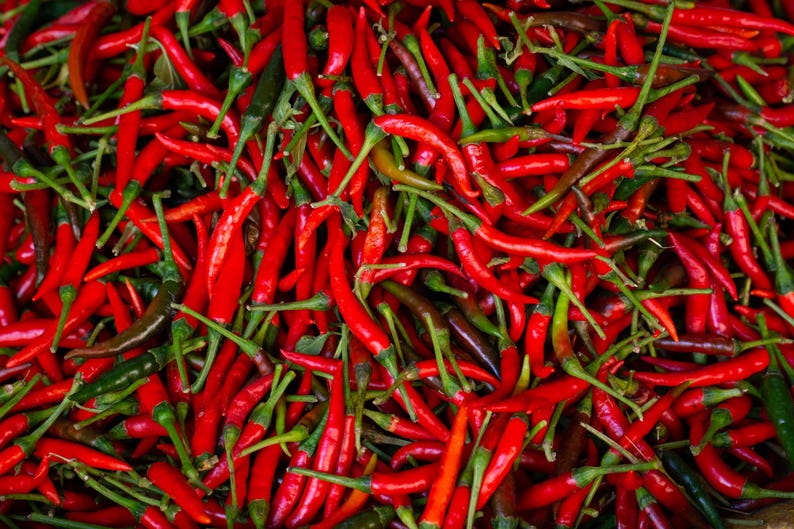 Thai Chili Pepper Seeds - 10 Seeds - Capsicum annuum 'Bird's Eye' - Spicy Thai Dragon Chili - Free Shipping on $35+ Orders