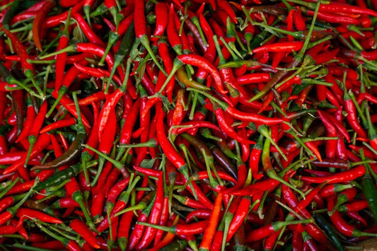 Thai Chili Pepper Seeds - 10 Seeds - Capsicum annuum 'Bird's Eye' - Spicy Thai Dragon Chili - Free Shipping on $35+ Orders