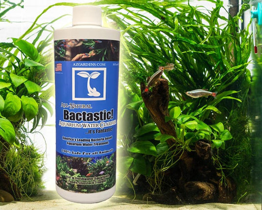 Bactastic Aquarium Water Clarifier - 100% Natural Beneficial Bacteria Treatment for Freshwater Aquariums - Live Nitrifying Bacteria