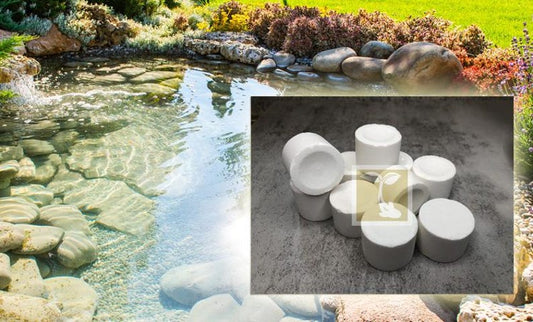 Beneficial Bacteria Water Clarifier Tablets 1 oz - Microbial Bacteria for Pond & Water Garden Clarity - 600 Million CFU/g