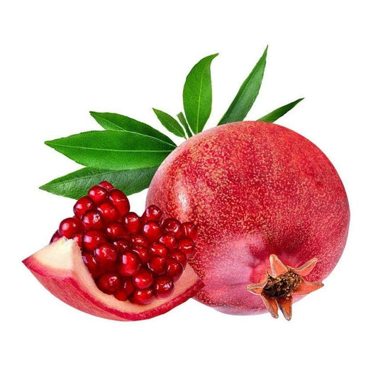 1 Gallon Parfyanka Pomegranate Air-Layered Tree - Punica granatum - Ideal for Gardens and Containers