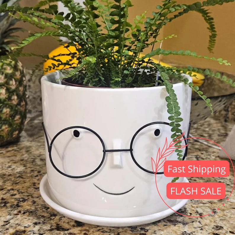 Face Planter Pots Set | Glazed Ceramic Head Planters with Drainage and Saucer | Indoor Flower Pots for Houseplants