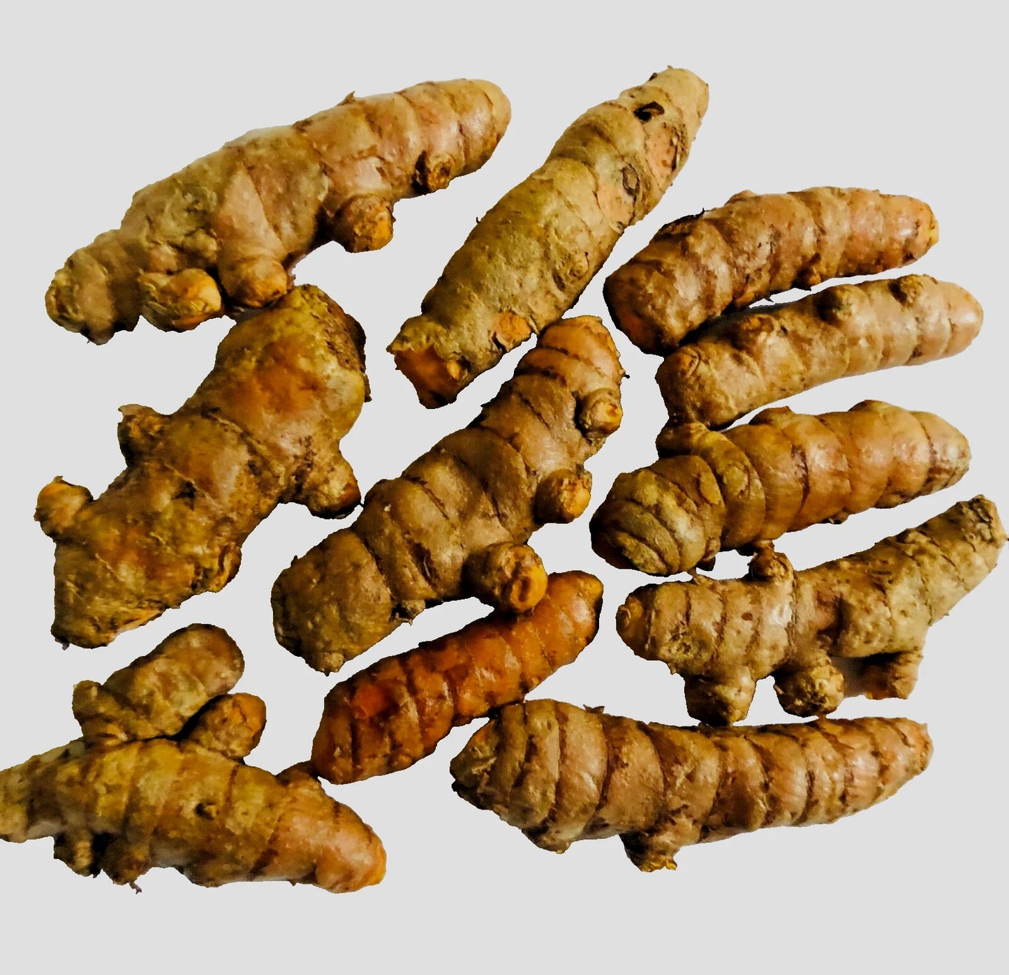 10PCS Turmeric Roots for Planting, Fresh Curcuma Longa, Organic Cooking & Tea, Arthritis Relief, Yellow/Orange Color
